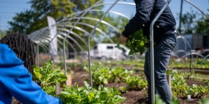 Why You Should WWOOF