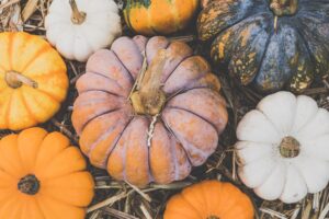 The Season of Squash 